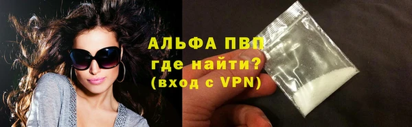 сатива Бронницы