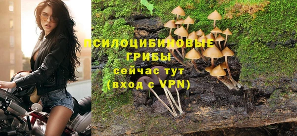 гидропоника Богородицк